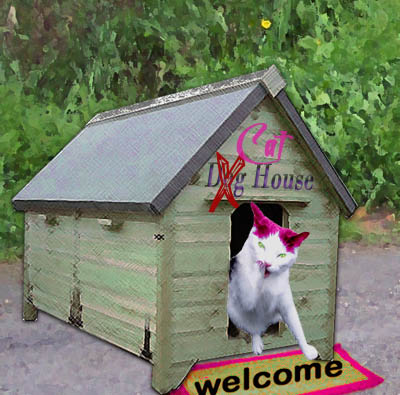 cathouse.jpg