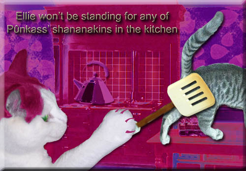kitchenshananakins.jpg
